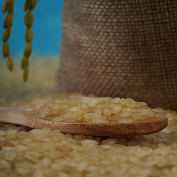 Chengalpattu Rice